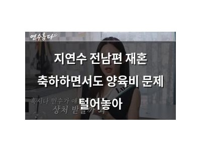지연수 전남편 재혼 축하하면서도 양육비 문제 털어놓아