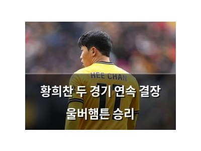 황희찬 두 경기 연속 결장 울버햄튼 승리
