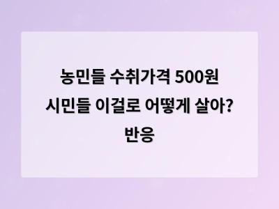 양배추 500원 양파 1000원 농산물 가격 폭락에 농민들 고전
