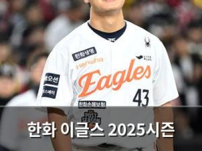 한화 이글스 2025시즌 준우승에 감탄과 아쉬움 동시에