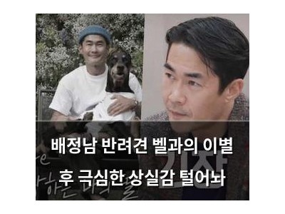배정남 반려견 벨과의 이별 후 극심한 상실감 털어놔