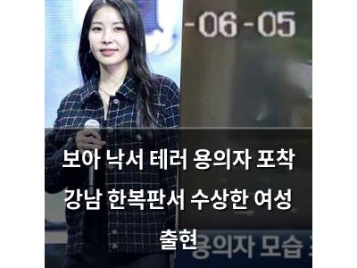 보아 낙서 테러 용의자 포착 강남 한복판서 수상한 여성 출현