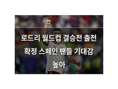 로드리 월드컵 결승전 출전 확정 스페인 팬들 기대감 높아